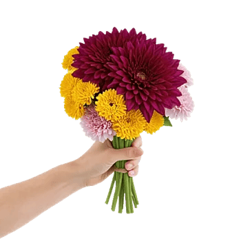 Radiant Bloom Cascade