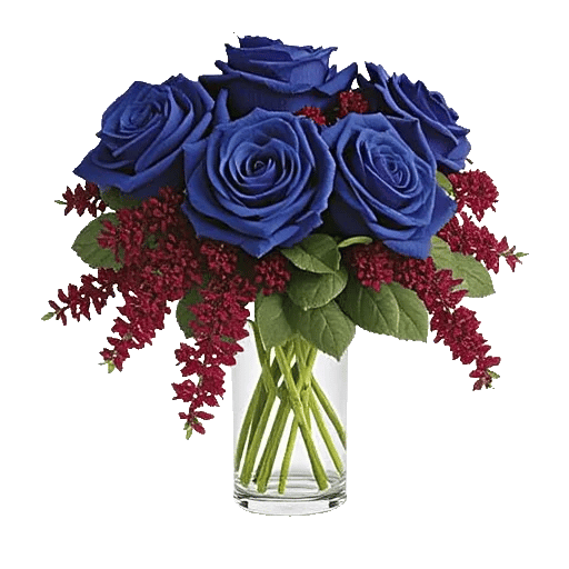 Elegant Blue Roses