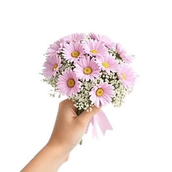 Pastel Pink Roses