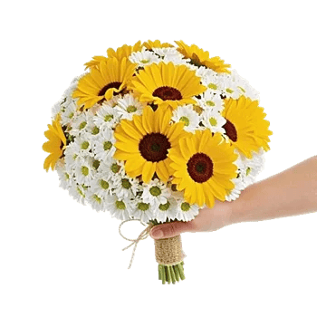 Petal Harmony Bliss