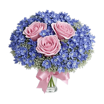 Blossom Petal Serenity