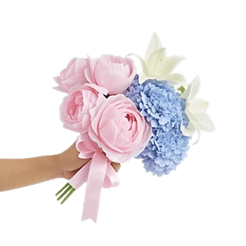Peony Petal Harmony
