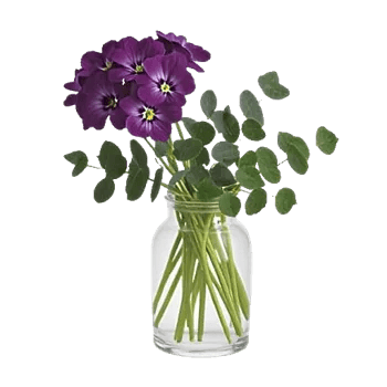 Ivory Blossom Radiance