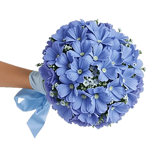 Serenity Blossom Grace