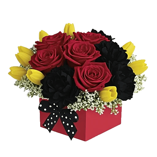 Petal Radiance Bliss