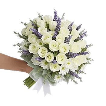 Ivory Garden Grace