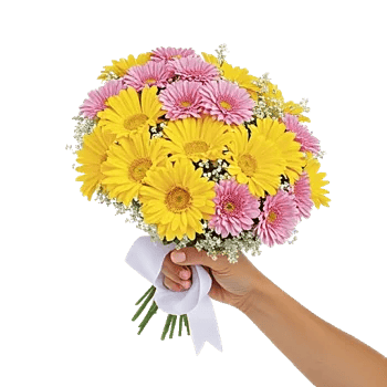 Petal Harmony Bliss