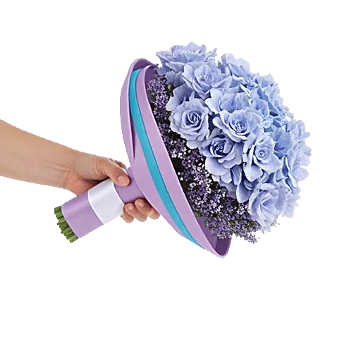 Serene Petal Harmony