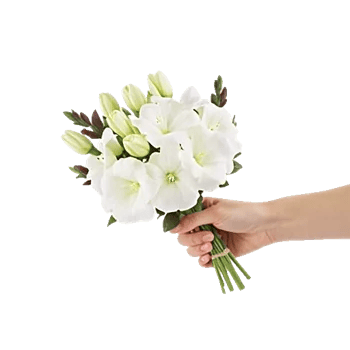 Graceful Lily Display