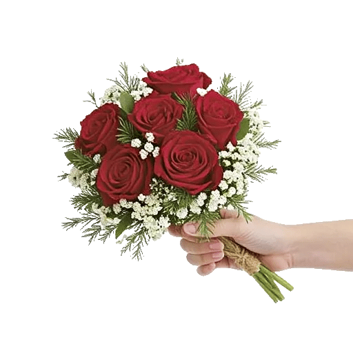 Crimson Rose Elegance