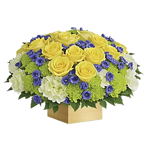 Ivory Blossom Radiance