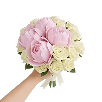 Peony Petal Harmony