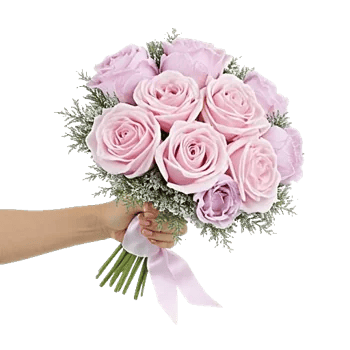 Pastel Pink Roses