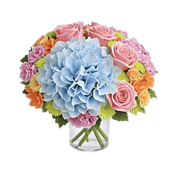 Pastel Blossom Grace