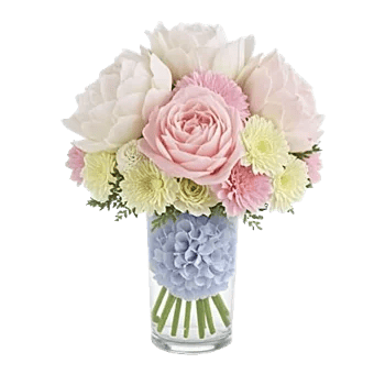 Ivory Blossom Radiance