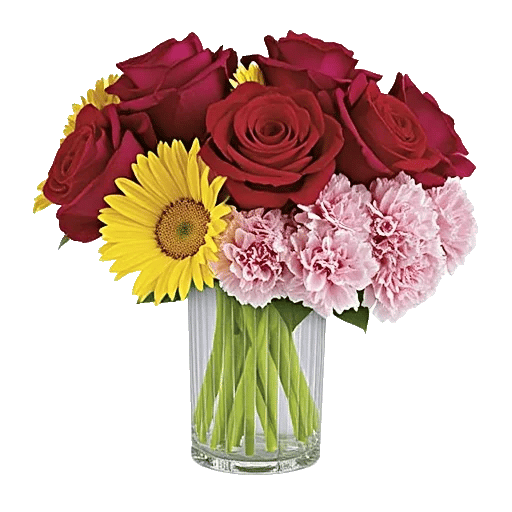 Petal Radiance Bliss