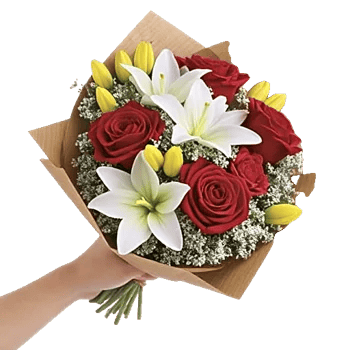 Crimson Rose Elegance