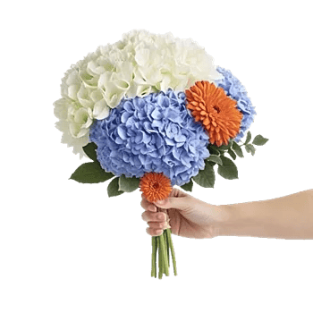 Serene Petal Harmony