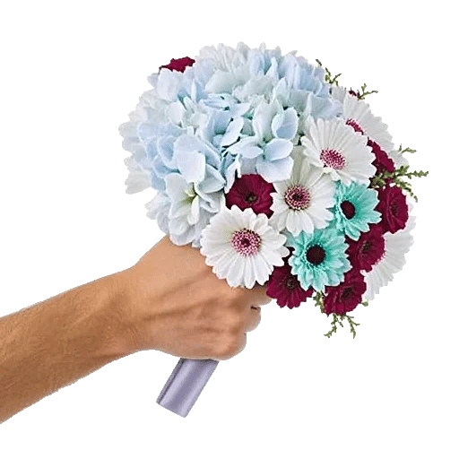 Serene Garden Harmony