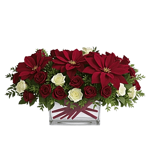 Petal Radiance Bliss