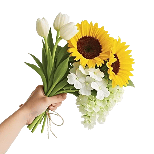 Blossom Harmony Display