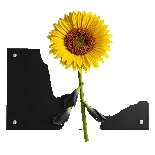 Golden Sunflower Bouquet