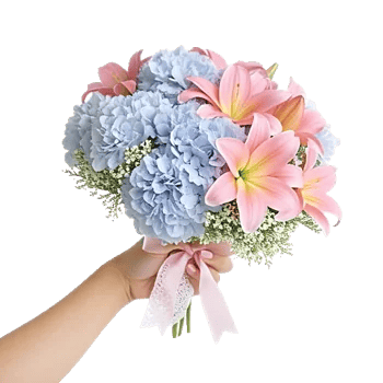 Serene Petal Harmony