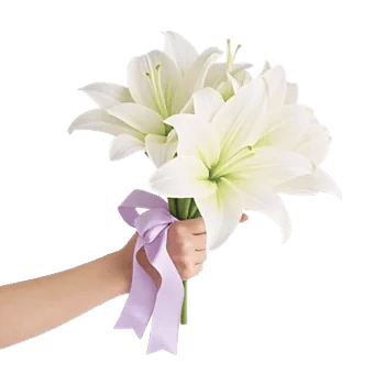 Graceful Lily Display