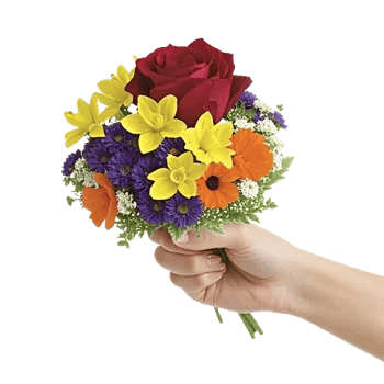 Crimson Blossom Harmony