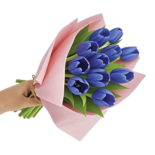 Velvet Tulip Display