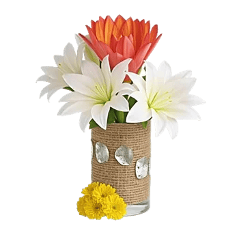 Petal Radiance Bliss