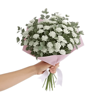 Ivory Garden Grace