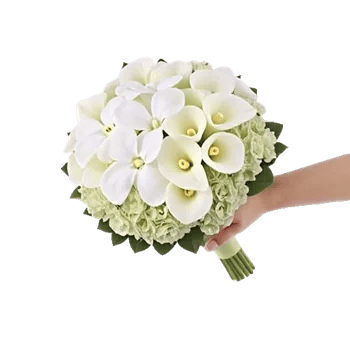 Modern White Orchids