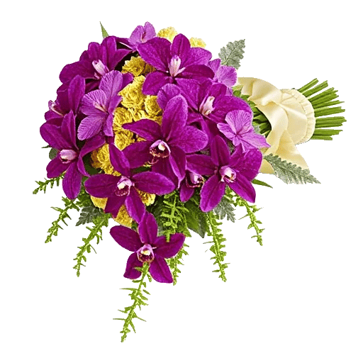 Orchid Bloom Cascade