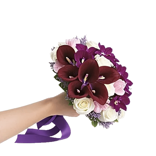 Elegant Calla Lilies