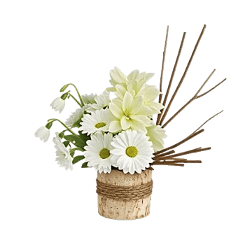 Modern White Orchids