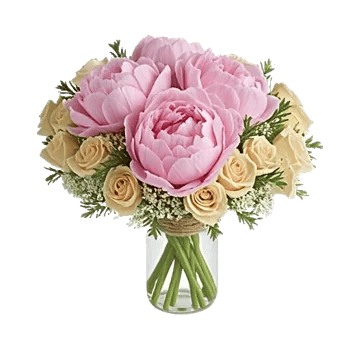 Ivory Blossom Radiance