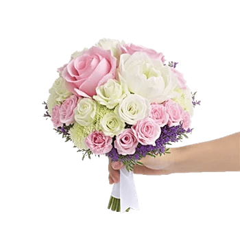 Pastel Pink Roses