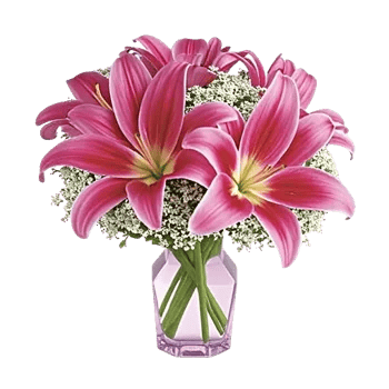 Graceful Lily Display