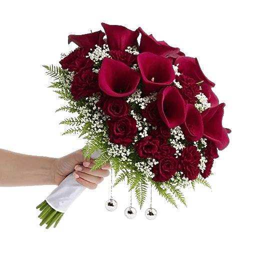 Elegant Calla Lilies