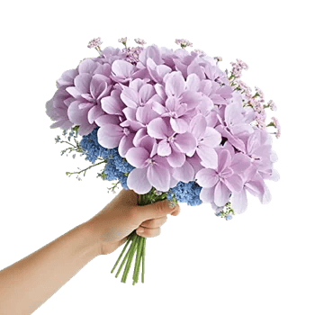 Serene Petal Harmony