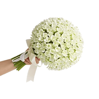 Ivory Blossom Radiance