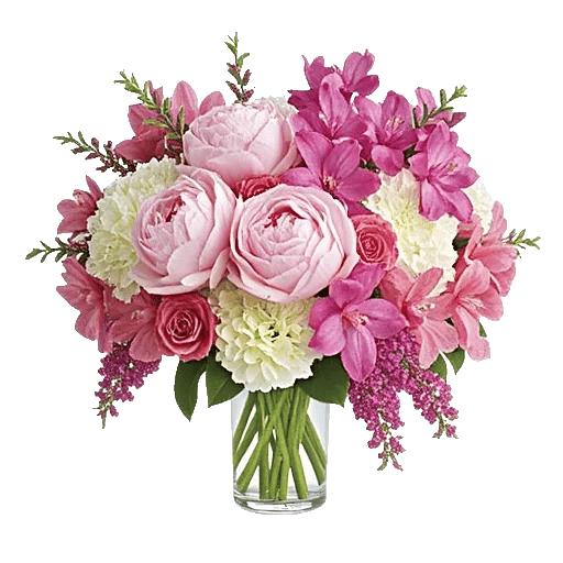 Petal Radiance Bliss