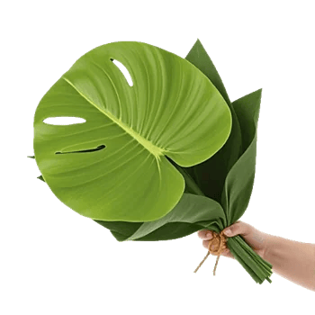 Lush Greenery Harmony