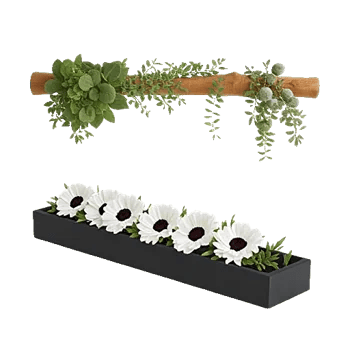 Delicate Petal Cascade