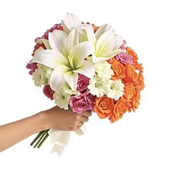 Graceful Lily Display