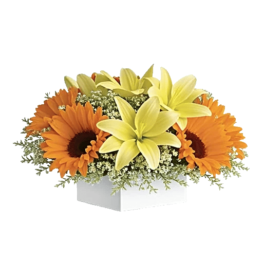 Blossom Harmony Display