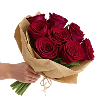 Crimson Rose Elegance