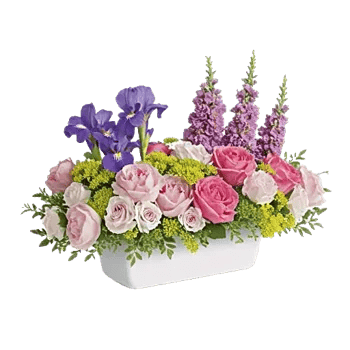 Ivory Blossom Radiance