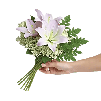 Graceful Lily Display